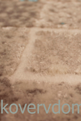 Высокоплотный ковер ПАТАРА V0225KT