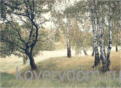 Ковер Сувенирный 50723