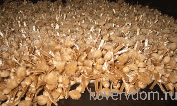 Ковер Veronica Caramel Ковер Veronica Caramel