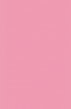 Ковер розовый шегги Rainbow Shaggy PC00 rose